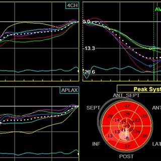 Speckle Tracking Imaging Of The Left Ventricle Longitudinal Strain