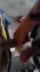 Travesti Na Rua Shemale Porn Xhamster