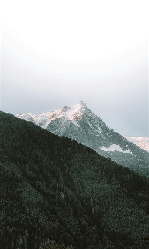 pic stock  images  royalty  hd downloads