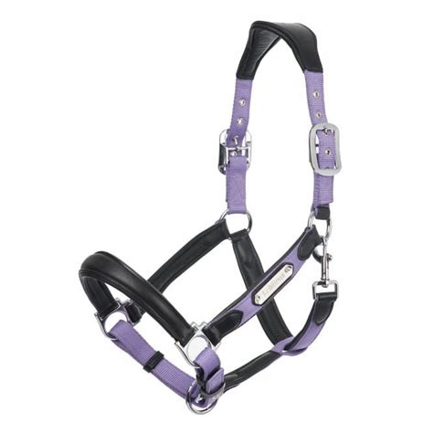 Lemieux Horsehealth Lemieux Capella Ponyhorse Headcollar Iris For