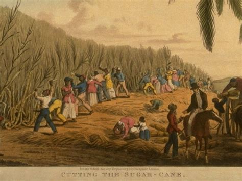 Examples Of Slavery In Africa At Sharon Cordero Blog
