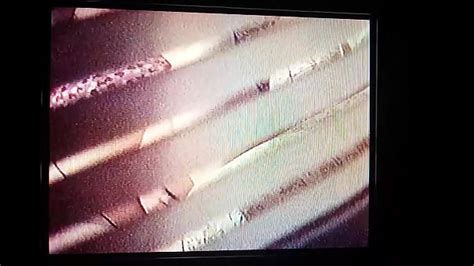 Window Voyeur Of Bbw Neighbor Xxx Mobile Porno Videos Movies Iporntv Net