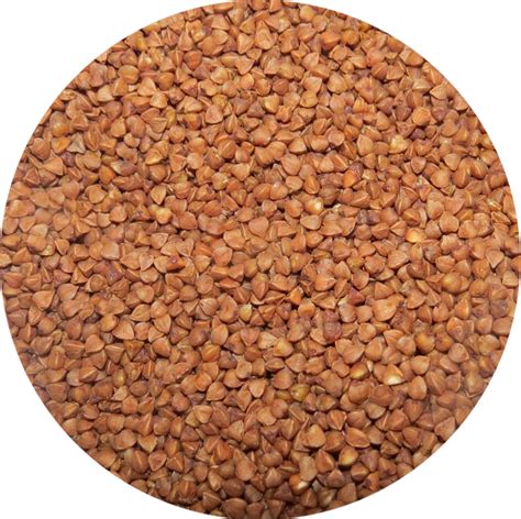 Гречка из России — Agro-Uzbekistan
