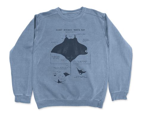 Manta Ray Anatomy Sweatshirt Manta Ray Sweater Marine - Etsy