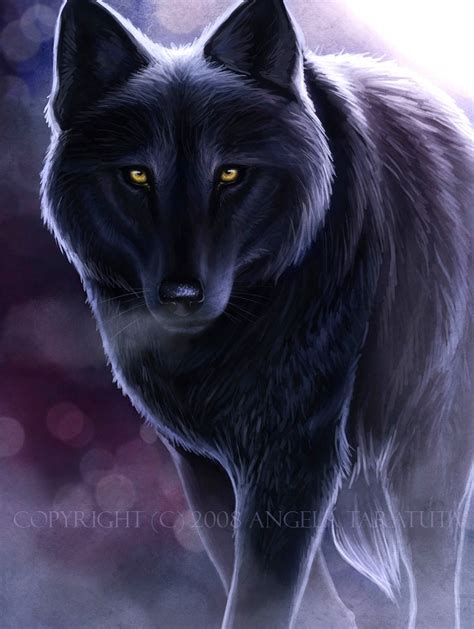 Black Wolf Yellow Eyes