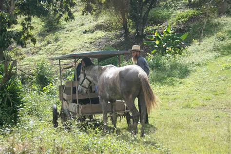 Living In Belize