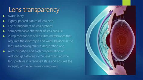 anatomy physiology  human eye lens pptx