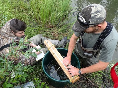 Fishery Biometrician - Alaska Safety Alliance