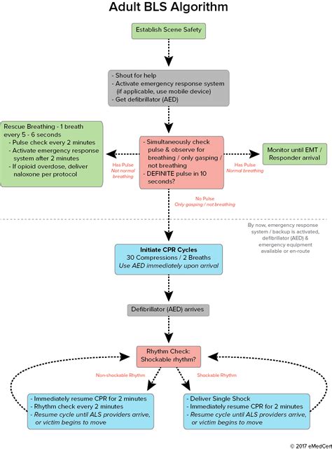 Acls Algorithms Review Adult Bls Algorithm