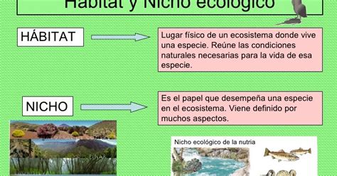 ℒ𝓪 𝓒𝓲𝒆𝓷𝓬𝓲𝓪 𝓭𝒆 𝓐𝓹𝓻𝒆𝓷𝓭𝒆𝓻 Nicho ecológico y ejemplos