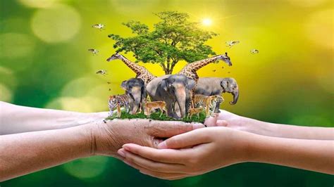 world animal day