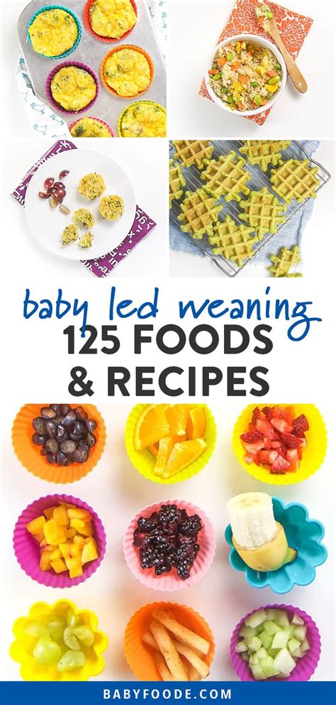 Baby Led Weaning Foods Starter Recipe Ideas Baby Foode