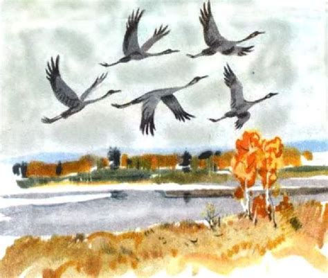 Перелетные Птицы Картинки Для Детей Нарисованные – Telegraph