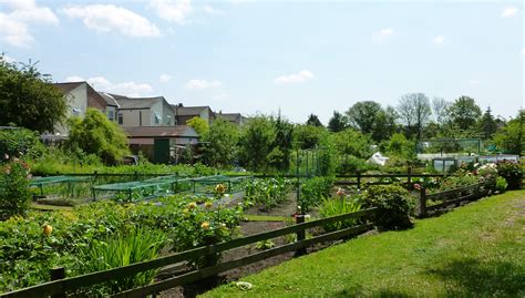 Planning for 'Garden City Suburbs' in Greater Manchester | Platform