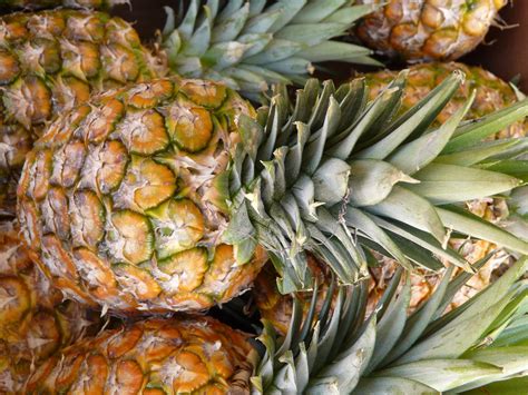 Gambar Menanam Buah Manis Makanan Menghasilkan Sayur Mayur