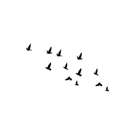Multiple Flying Birds Silhouette, Silhouette, Bird, Flying Bird