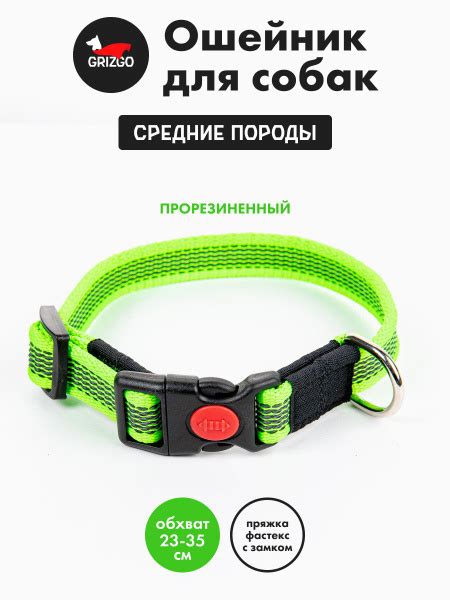 Ошейник прорезиненный - купить с доставкой по выгодным ценам в интернет ...