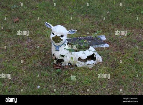 Grave Lamb Hi Res Stock Photography And Images Alamy