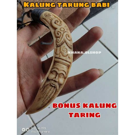 Jual Kalung Pria Etnik Dayak Kalimantan Bandul Taring Babi Ukir