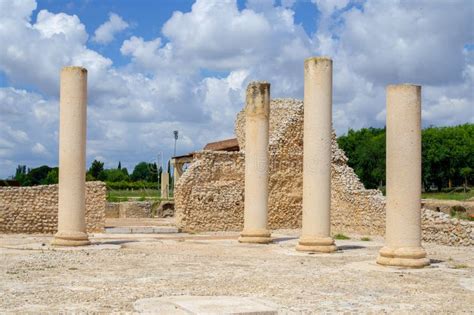 Bas Lica Civil De Complutum Ciudad Romana Situada En Alcala De Henares