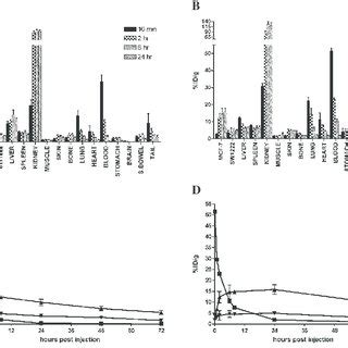 A Biodistribution Of 111 In CHX A DTPA Hu3S193 Multimer And B 111