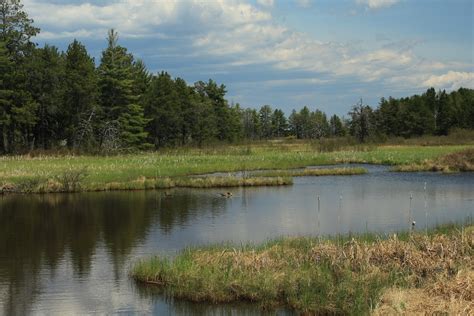 Seney National Wildlife Refuge A Michigan National Wildlife Refuge