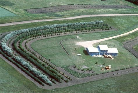 Best Trees for Windbreak: Protecting your Property from Wind Damage ...