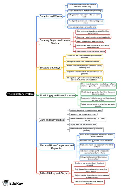 Excretory System Concept Map 3
