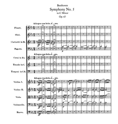 Ludwig Van Beethoven Symphony No 5 In C Minor Op 67 1st Movement