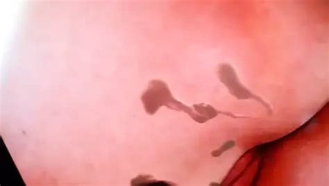 Annette Schwarz Cum Tribute Free Man Porn C XHamster