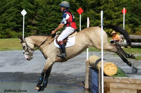 Une cavalier et son cheval sur un contre-bas en cross cet été. - Photos ...