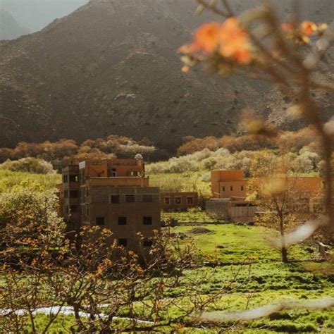 Ourika Valley Berber Villages Day Trip From Marrakech Getyourguide