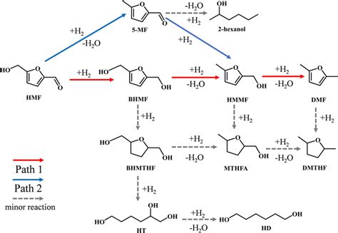 The Reaction Pathways And Network For The Hydrogenationhydrogenolysis