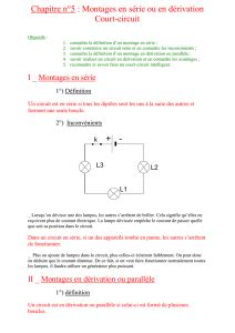 Montages S Rie Et D Rivation