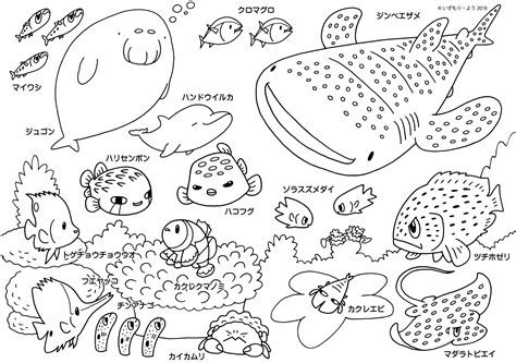 魚のぬりえ無料 _ お魚 塗り絵 無料 – OHEUOY