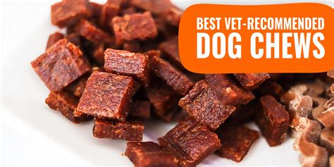 10 Best Vet-Recommended Dog Chews – Texture, Flavor, Reviews & FAQ