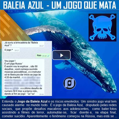 Baleia Azul Jogo Foi Em Que Ano - Baleia Azul - O jogo que mata | Baleia azul, Baleia, Jogos