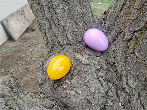 Five tips to throwing a neighborhood Easter Egg Hunt - My Silly Squirts
