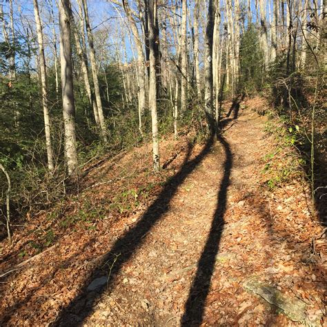 Expect more frequent updates on the laurel county jailtracker ky 11