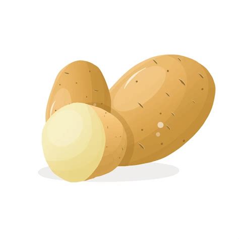 potato clip art vectors illustrations    freepik