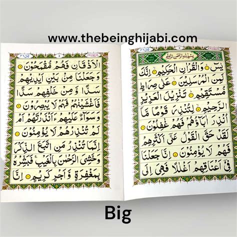 surah yaseen book  hijabi