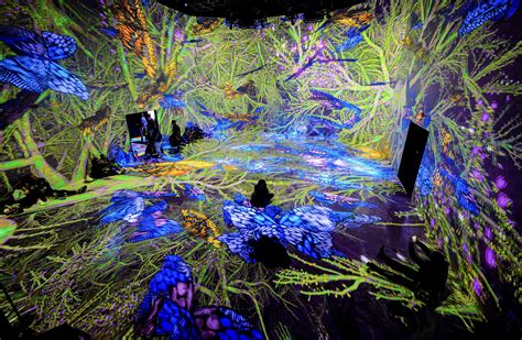 The Best Immersive Art Experiences In Washington D C Sarah Ransome Art