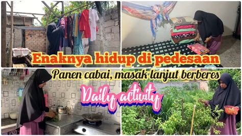 Aktivitas Irt Desa Panen Cabe Berberes Lanjut Masak Di Dapur