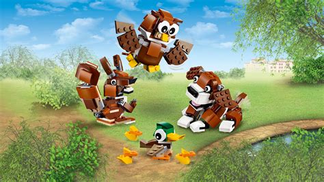 LEGO Creator 31044 - Tiere im Park: Amazon.de: Spielzeug