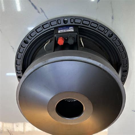 RCF Inch Naked Speaker Best Price