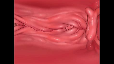 Rinhee Videos Xvideos