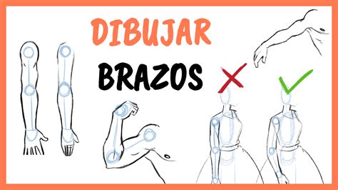 Formas Diferentes De Dibujar Brazos The Best Porn Website