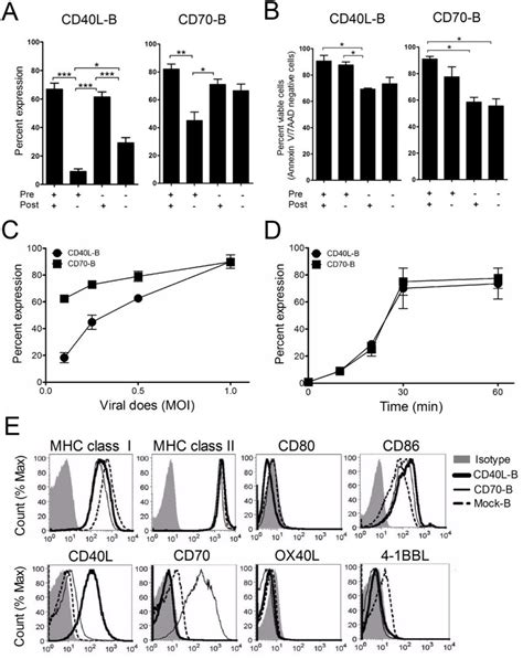 Expression Of Costimulatory Molecules On Ex Vivo Activated B Cells