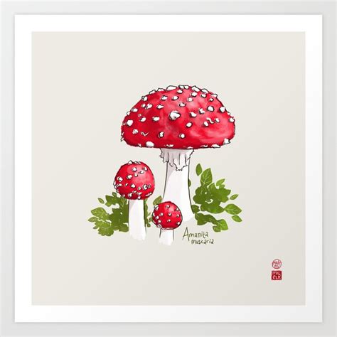 Amanita Muscaria Fairy Toadstool Art Print By Made By Milelk Society6