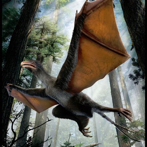 Chinese Dinosaur Had Bat-Like Wings and Feathers